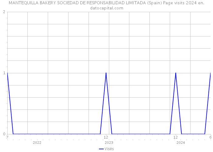 MANTEQUILLA BAKERY SOCIEDAD DE RESPONSABILIDAD LIMITADA (Spain) Page visits 2024 
