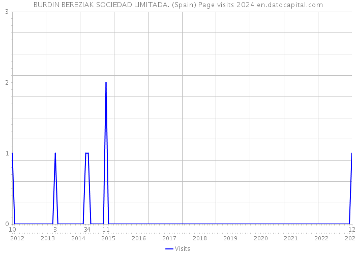 BURDIN BEREZIAK SOCIEDAD LIMITADA. (Spain) Page visits 2024 