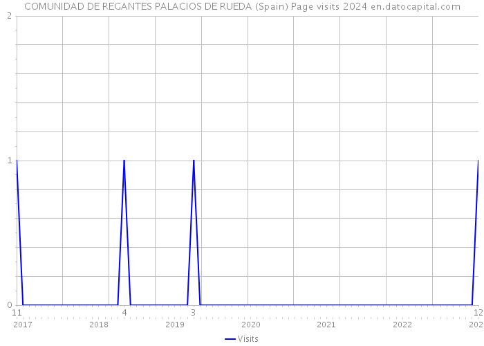 COMUNIDAD DE REGANTES PALACIOS DE RUEDA (Spain) Page visits 2024 