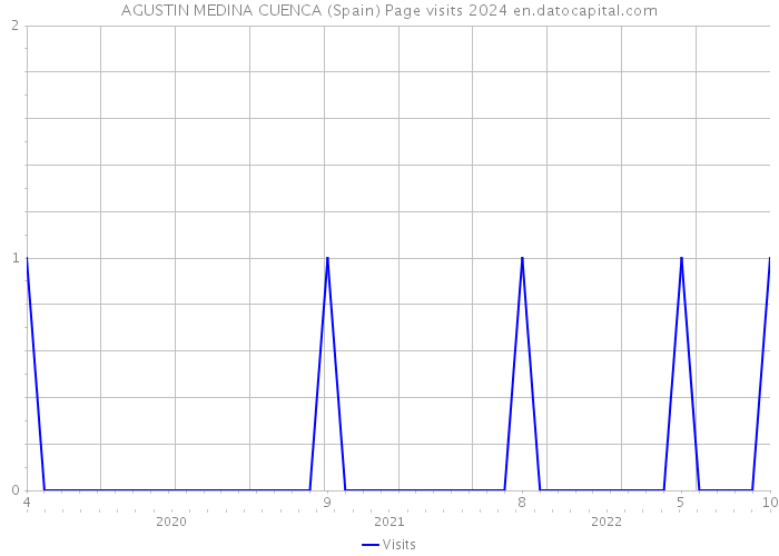 AGUSTIN MEDINA CUENCA (Spain) Page visits 2024 