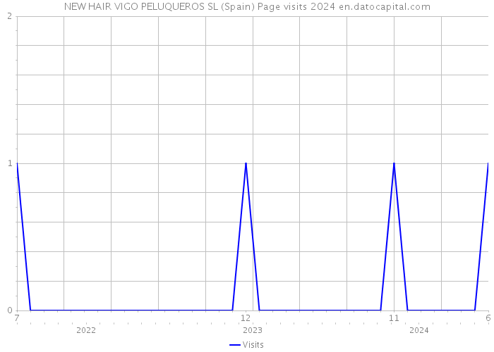 NEW HAIR VIGO PELUQUEROS SL (Spain) Page visits 2024 