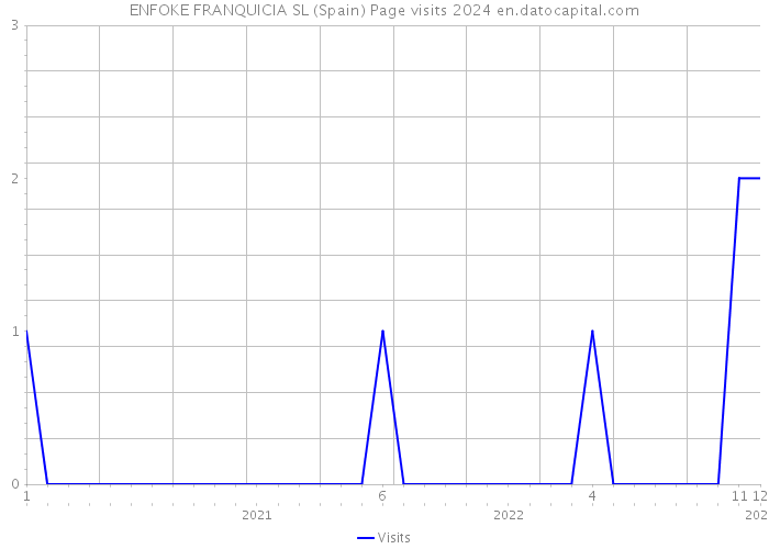 ENFOKE FRANQUICIA SL (Spain) Page visits 2024 