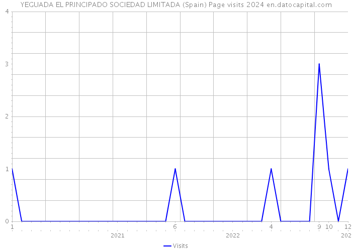 YEGUADA EL PRINCIPADO SOCIEDAD LIMITADA (Spain) Page visits 2024 