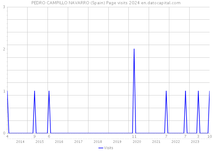 PEDRO CAMPILLO NAVARRO (Spain) Page visits 2024 