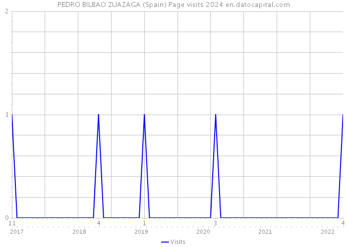 PEDRO BILBAO ZUAZAGA (Spain) Page visits 2024 