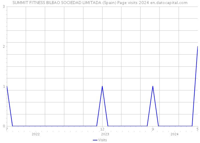 SUMMIT FITNESS BILBAO SOCIEDAD LIMITADA (Spain) Page visits 2024 
