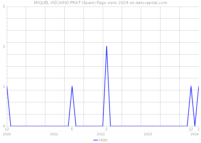 MIQUEL VIZCAINO PRAT (Spain) Page visits 2024 