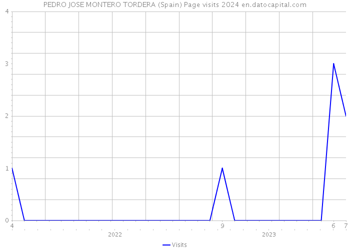 PEDRO JOSE MONTERO TORDERA (Spain) Page visits 2024 