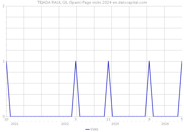 TEJADA RAUL GIL (Spain) Page visits 2024 