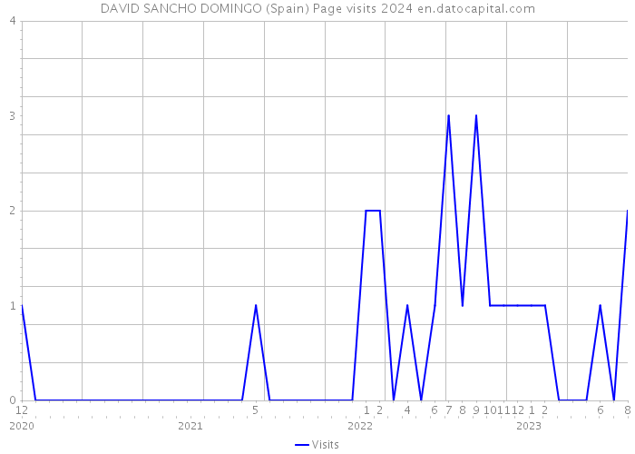 DAVID SANCHO DOMINGO (Spain) Page visits 2024 