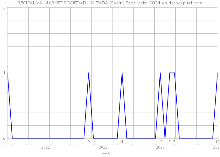 RECIPAL VALMARKET SOCIEDAD LIMITADA (Spain) Page visits 2024 