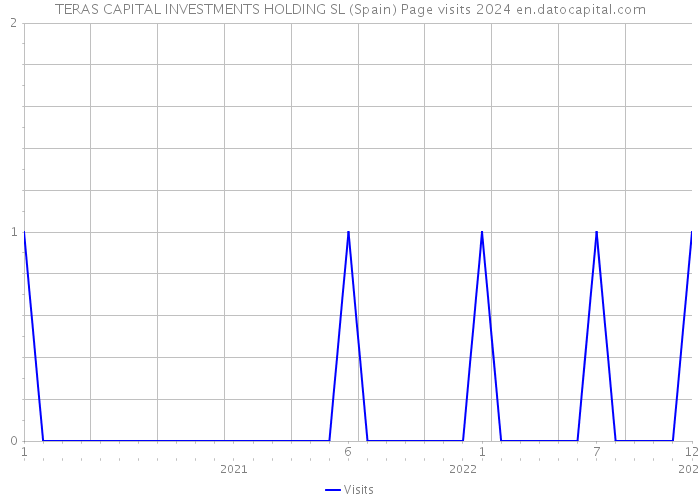 TERAS CAPITAL INVESTMENTS HOLDING SL (Spain) Page visits 2024 