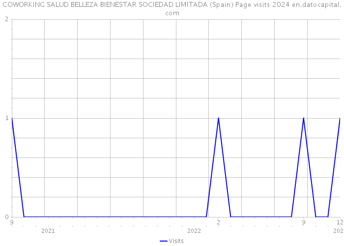 COWORKING SALUD BELLEZA BIENESTAR SOCIEDAD LIMITADA (Spain) Page visits 2024 
