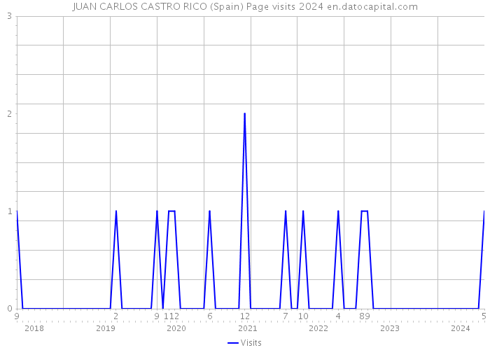 JUAN CARLOS CASTRO RICO (Spain) Page visits 2024 