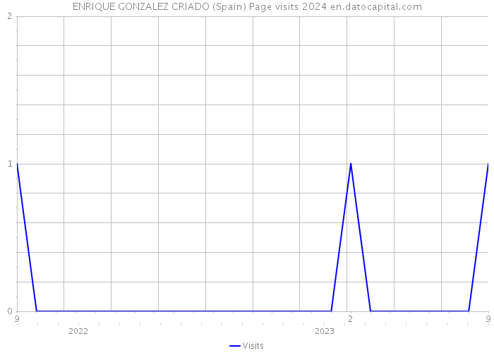 ENRIQUE GONZALEZ CRIADO (Spain) Page visits 2024 