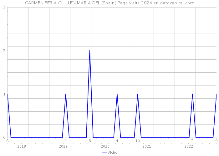 CARMEN FERIA GUILLEN MARIA DEL (Spain) Page visits 2024 