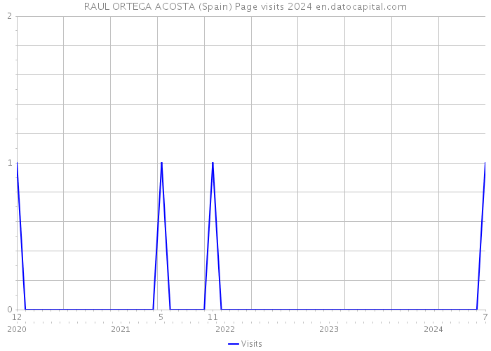 RAUL ORTEGA ACOSTA (Spain) Page visits 2024 