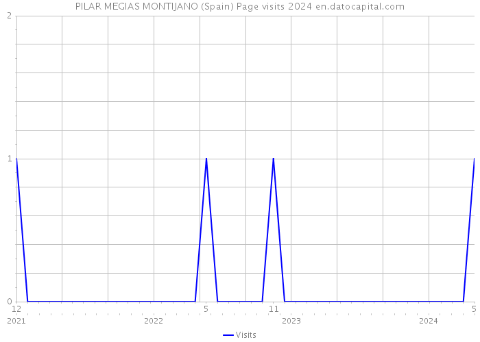 PILAR MEGIAS MONTIJANO (Spain) Page visits 2024 