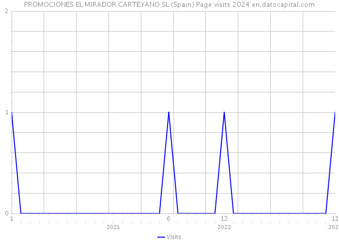 PROMOCIONES EL MIRADOR CARTEYANO SL (Spain) Page visits 2024 