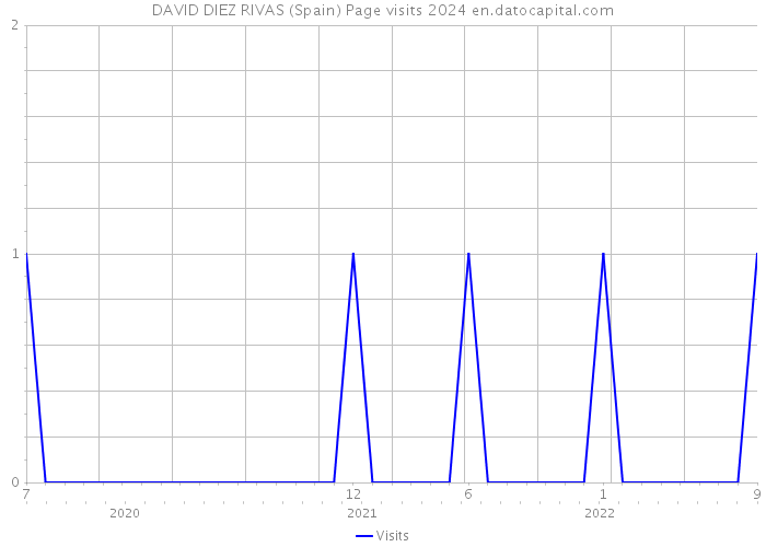 DAVID DIEZ RIVAS (Spain) Page visits 2024 