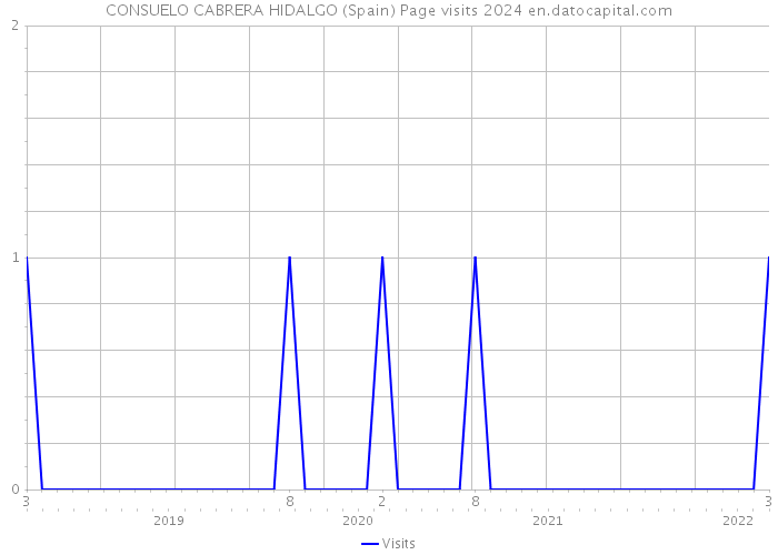 CONSUELO CABRERA HIDALGO (Spain) Page visits 2024 