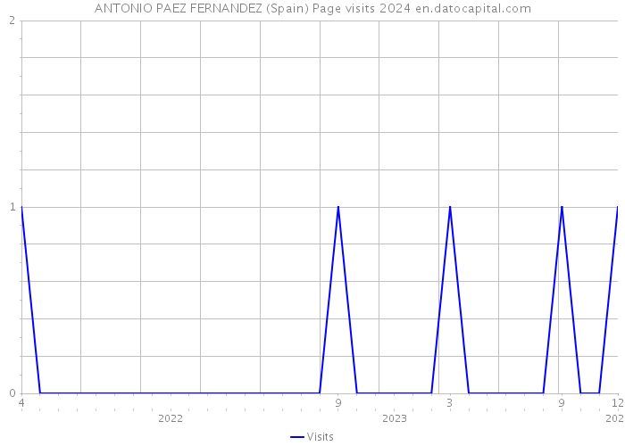 ANTONIO PAEZ FERNANDEZ (Spain) Page visits 2024 