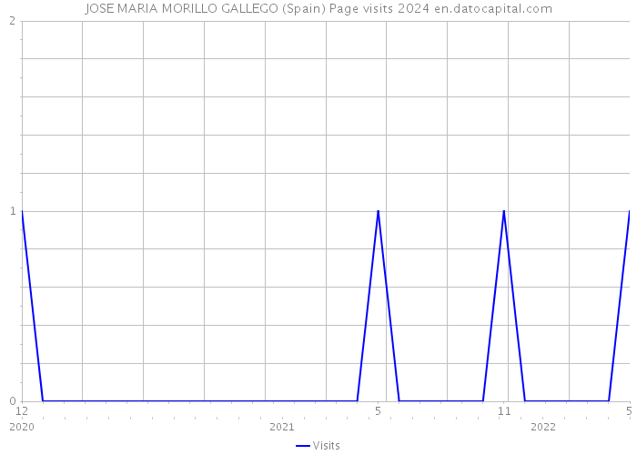 JOSE MARIA MORILLO GALLEGO (Spain) Page visits 2024 