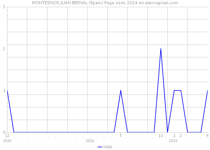MONTESINOS JUAN BERNAL (Spain) Page visits 2024 