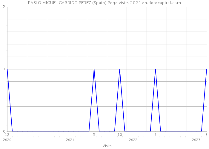 PABLO MIGUEL GARRIDO PEREZ (Spain) Page visits 2024 