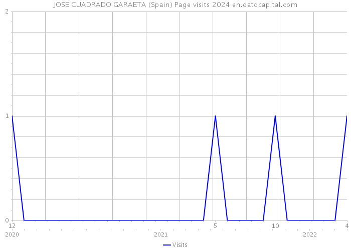 JOSE CUADRADO GARAETA (Spain) Page visits 2024 