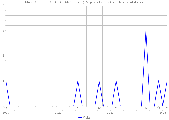 MARCO JULIO LOSADA SANZ (Spain) Page visits 2024 