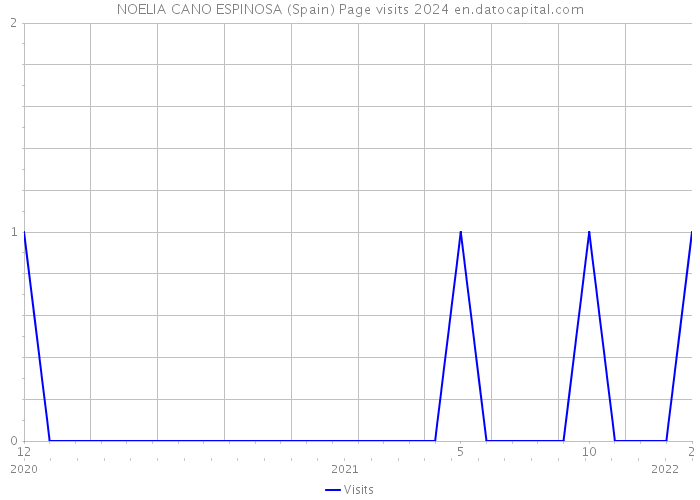 NOELIA CANO ESPINOSA (Spain) Page visits 2024 