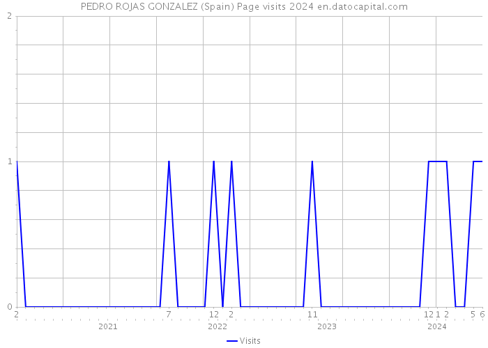 PEDRO ROJAS GONZALEZ (Spain) Page visits 2024 