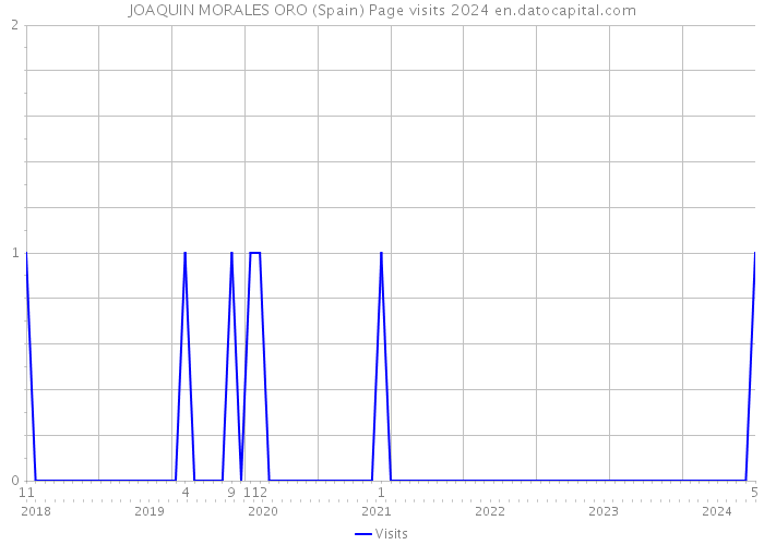 JOAQUIN MORALES ORO (Spain) Page visits 2024 