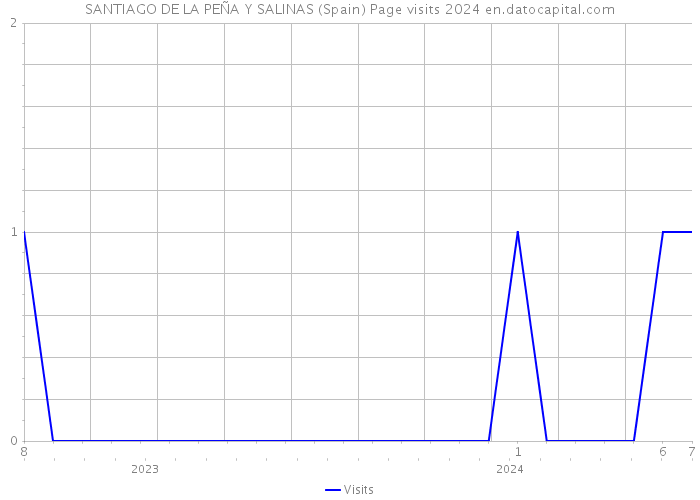 SANTIAGO DE LA PEÑA Y SALINAS (Spain) Page visits 2024 