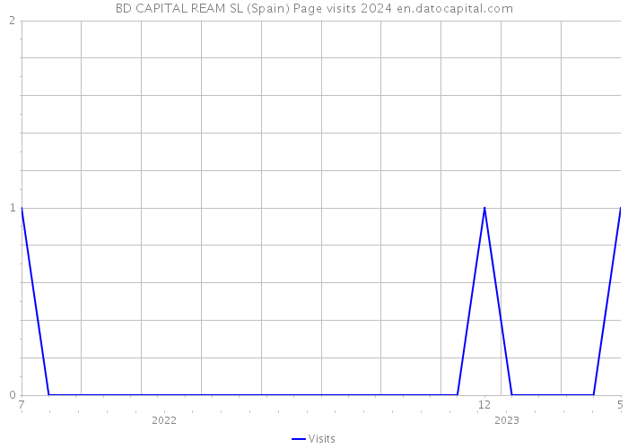 BD CAPITAL REAM SL (Spain) Page visits 2024 