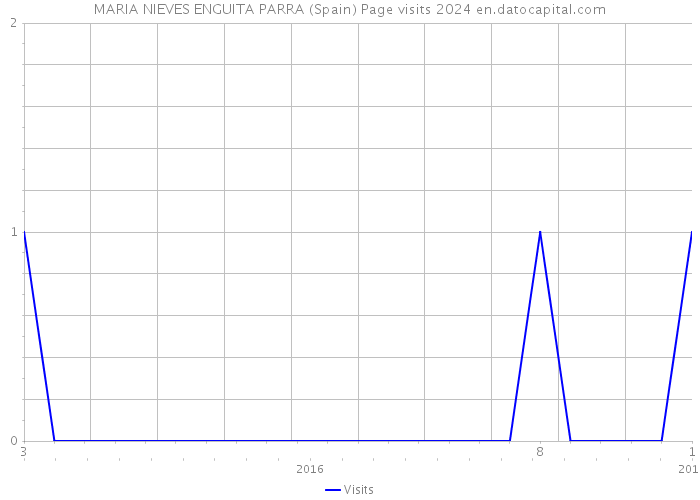 MARIA NIEVES ENGUITA PARRA (Spain) Page visits 2024 