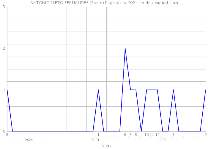 ANTONIO NIETO FERNANDEZ (Spain) Page visits 2024 