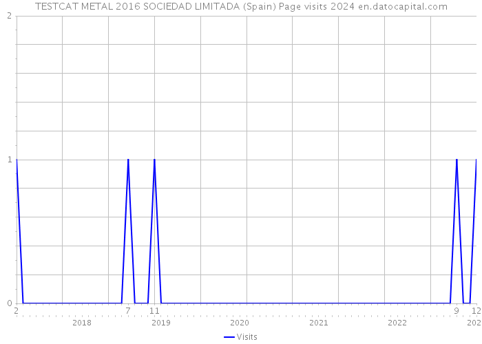 TESTCAT METAL 2016 SOCIEDAD LIMITADA (Spain) Page visits 2024 