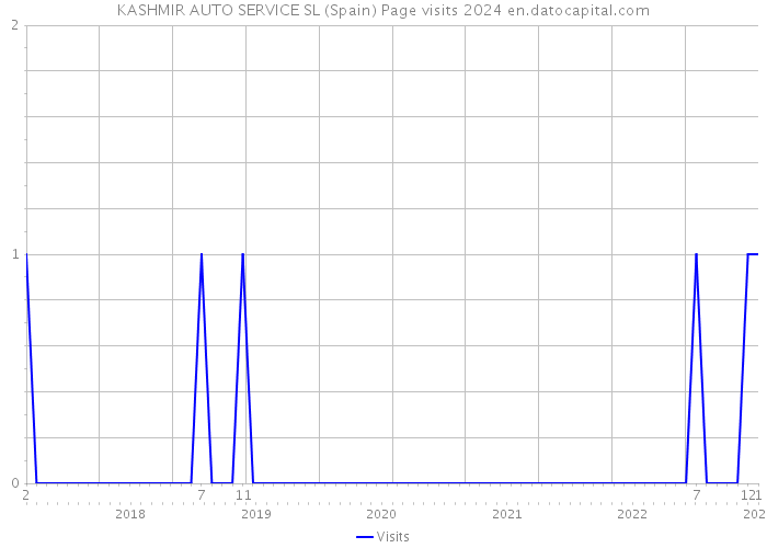 KASHMIR AUTO SERVICE SL (Spain) Page visits 2024 