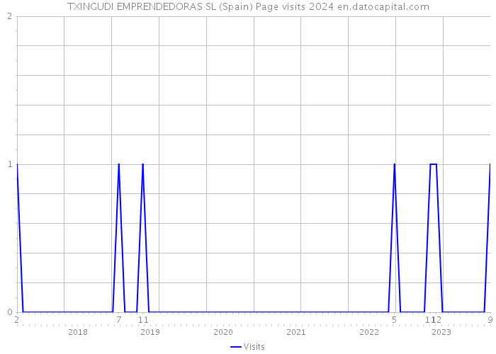 TXINGUDI EMPRENDEDORAS SL (Spain) Page visits 2024 