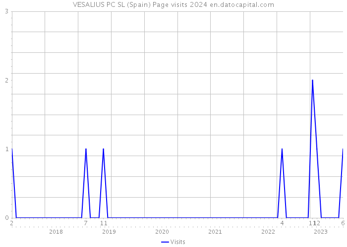 VESALIUS PC SL (Spain) Page visits 2024 