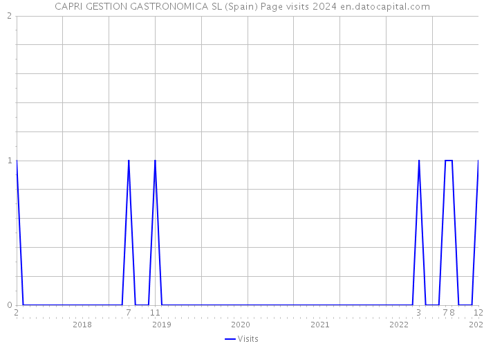 CAPRI GESTION GASTRONOMICA SL (Spain) Page visits 2024 