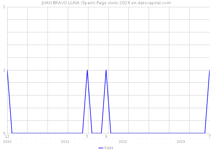 JUAN BRAVO LUNA (Spain) Page visits 2024 