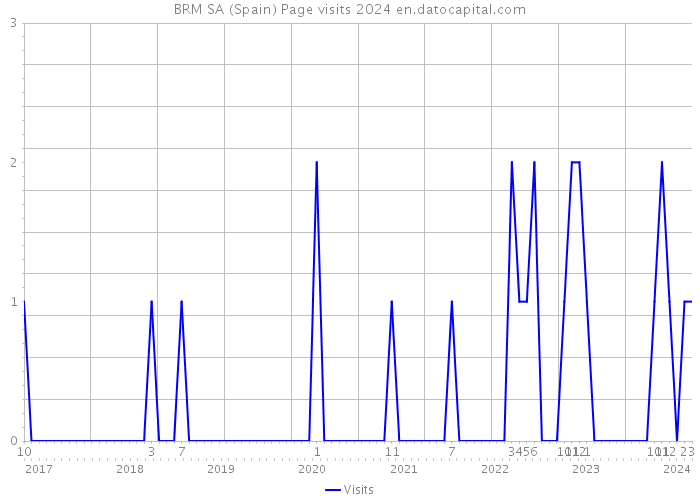 BRM SA (Spain) Page visits 2024 