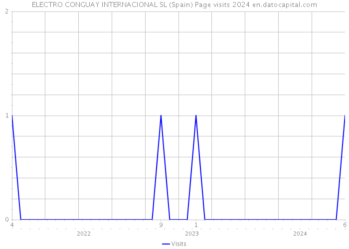 ELECTRO CONGUAY INTERNACIONAL SL (Spain) Page visits 2024 
