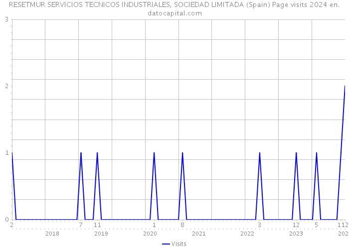 RESETMUR SERVICIOS TECNICOS INDUSTRIALES, SOCIEDAD LIMITADA (Spain) Page visits 2024 