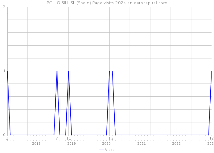 POLLO BILL SL (Spain) Page visits 2024 