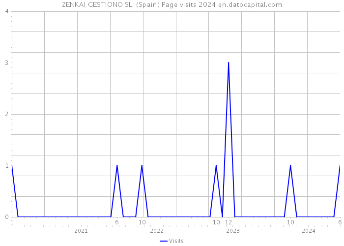 ZENKAI GESTIONO SL. (Spain) Page visits 2024 