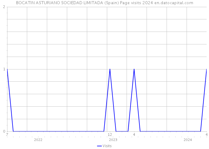BOCATIN ASTURIANO SOCIEDAD LIMITADA (Spain) Page visits 2024 